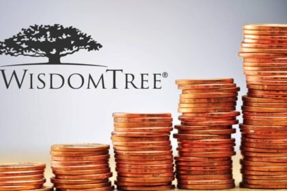 WisdomTree U.S. Quality Dividend Growth Fund is Poised to Outperform in 2024